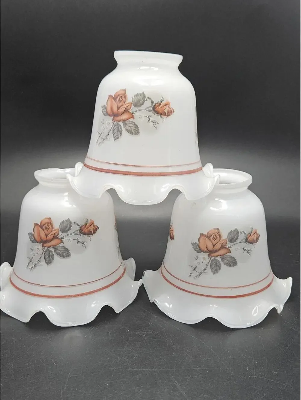 Set of 3 Vintage Gothic Floral Glass Lamp Shades Red Rose Black Grey 2 1/8